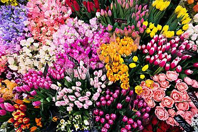 《无人深空》NS版新预告 准备展开史诗般冒险