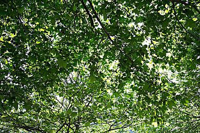 美少女格斗游戏《幻象破坏者Omnia》延期至2022年发售